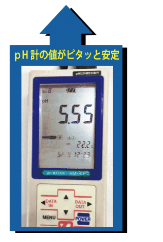 開発PHの安定